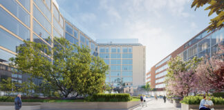 deloitte 3