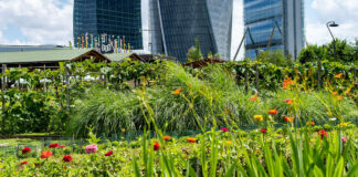 orti fioriti citylife