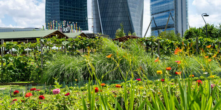 orti fioriti citylife