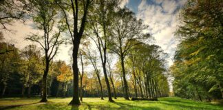 landscape 3076834 1920