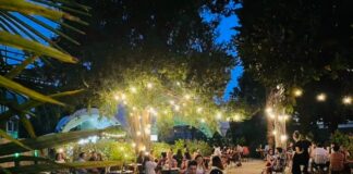 Ventura jazz in the park