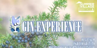 gin experience carroponte