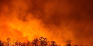 sardegna in fiamme