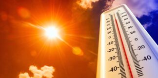 caldo