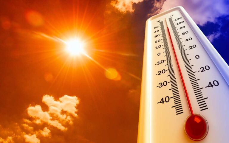 caldo