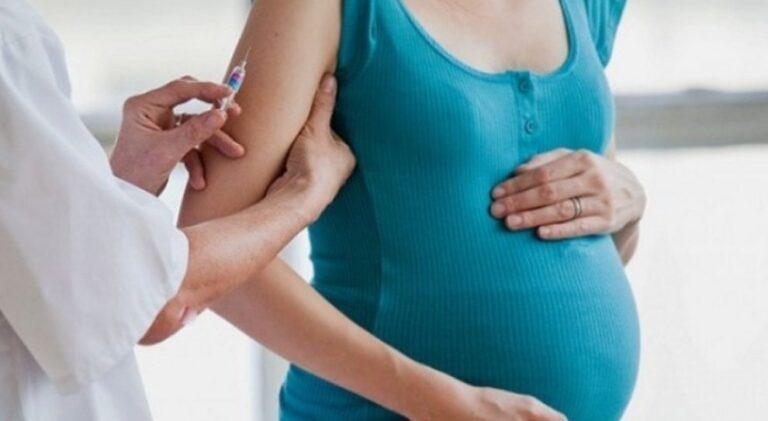 5779567 1041 vaccino gravid