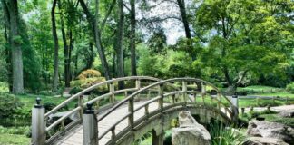 bridge 53769 1920