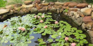 specchio dacqua