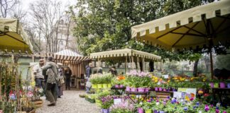 FAI Fondo Ambiente Italiano e1635980286477