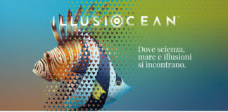 IllusiOcean mostra milano bicocca