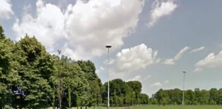 alberi