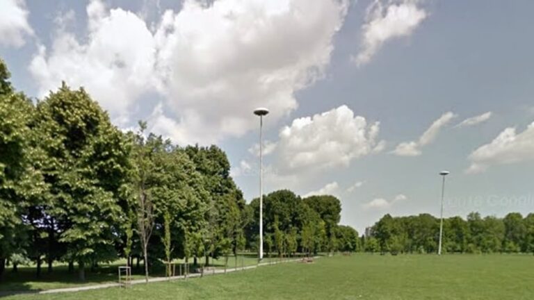 alberi