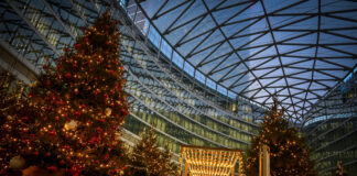 alberi regione lombardia