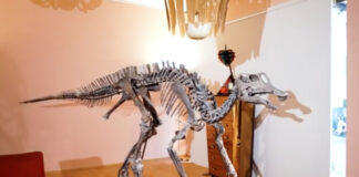 il dinosauro 2