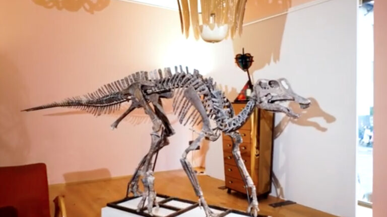 il dinosauro 2
