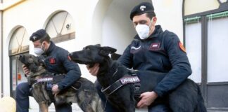 max e berla