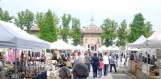 mercatino certosa pavia