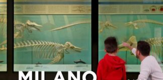 Milano Museo city 2022 bis
