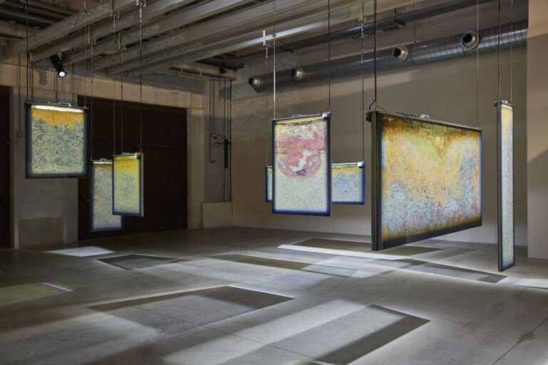 Mostra “Metaspore” di Anicka Yi a Pirelli Hangar Bicocca