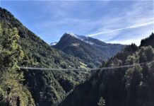 Vacanze Natura 2025 con Legambiente Lombardia: esperienze sostenibili tra Lombardia e Cilento
