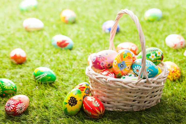 cropped Pasqua uova