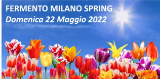 Immagine1