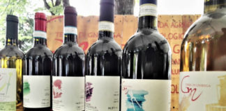 vinissimo