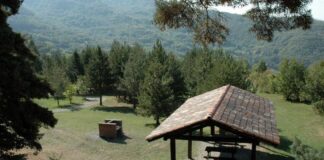 26434 riserva naturale monte alpe per orobiejpg.jpg  900x400 q80 crop smart subsampling 2 upscale