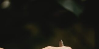 pexels klaus nielsen 6287542 scaled