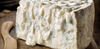 sagra nazionale gorgonzola 1