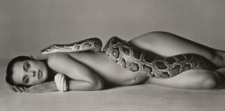 avedon 1200 690x362 1