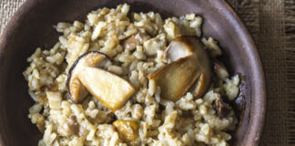 cascina gattinera risotto porcini