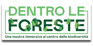 dentroleforeste logo big
