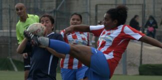 las leonas