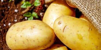 patata di oreno un farfallino in cucina