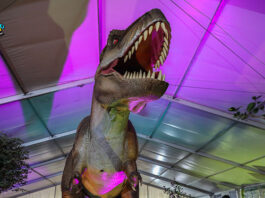 Jurassic Expo in Tour