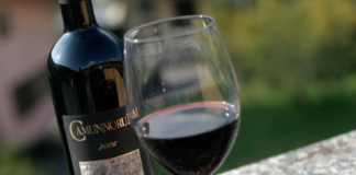 vini vallle camonica