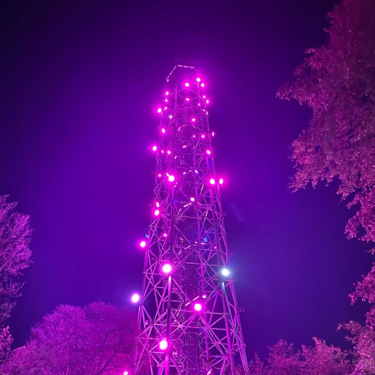 Salita in Torre Branca e Aperitivo con degustazione Vino 18 Gennaio 2023