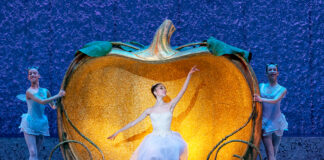 cenerentola