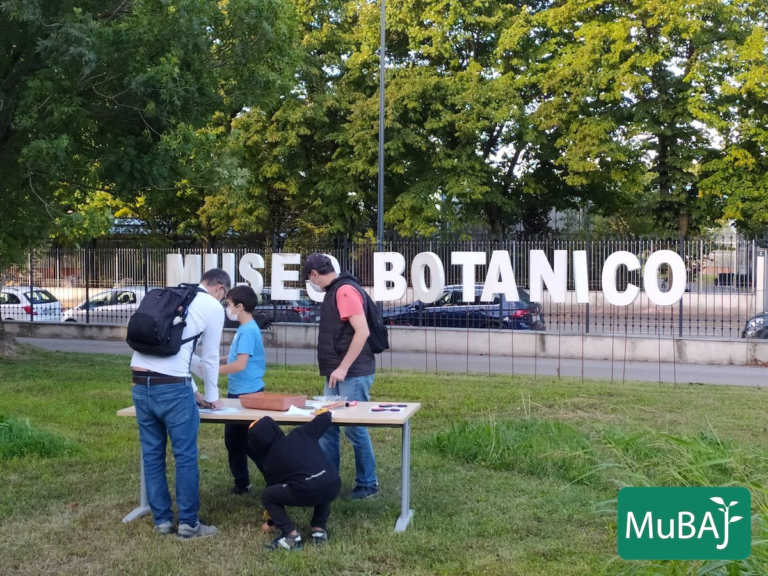 museo botanico