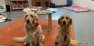 read-dog