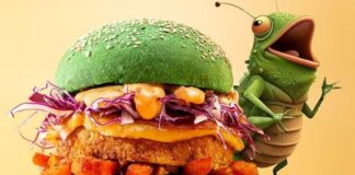 hamburger a base di grilli