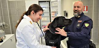 infermeria veterinaria