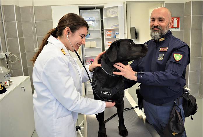 infermeria veterinaria