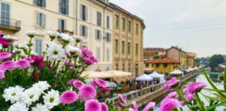 Fiori e Sapori 2023