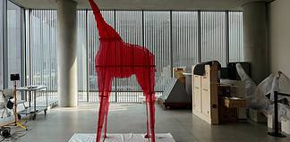 giraffa