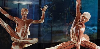 Body Worlds
