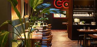 cocciuto