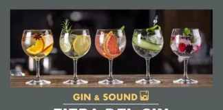 Gin & Sound
