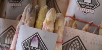 Sagra dell'Asparago Rosa